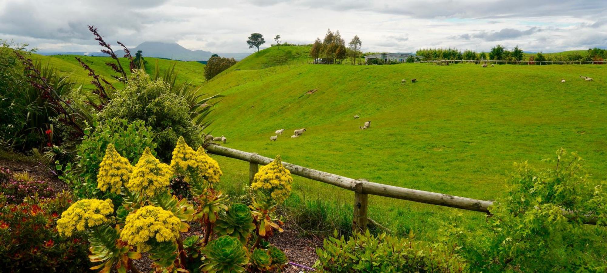 Hilltop Whakaipo Estate Tauposee Exterior foto